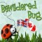 Bewildered Bug