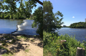 View From Run