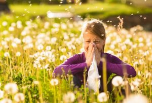 Bayer Allergy Post