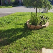 Fertilizer Canada Fix Lawn 1